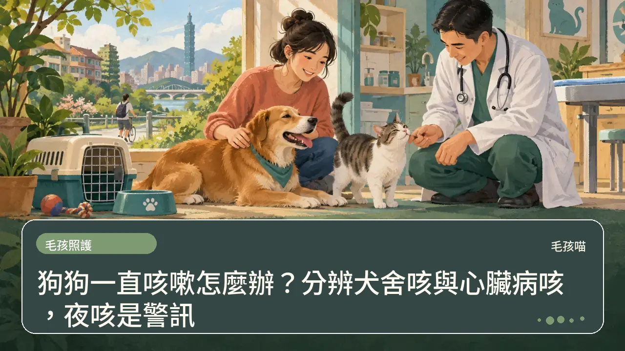 狗狗一直咳嗽怎麼辦？分辨犬舍咳與心臟病咳，夜咳是警訊主題插畫