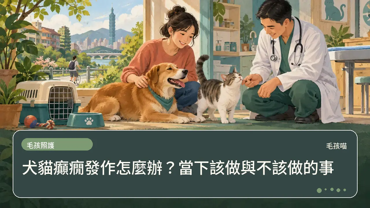 犬貓癲癇發作怎麼辦？當下該做與不該做的事主題插畫